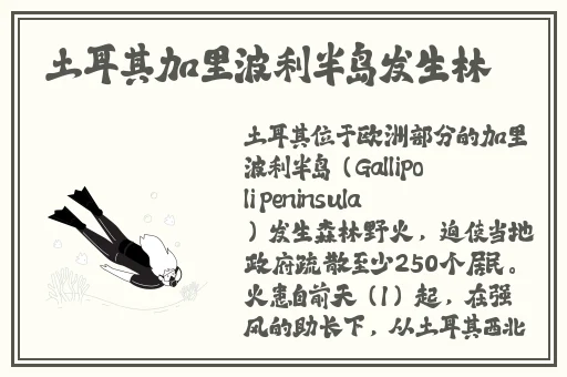 乱系列全文阅读全文目录